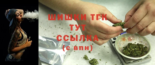 гидра Абаза