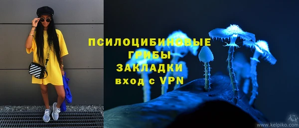 МДПВ Алексин