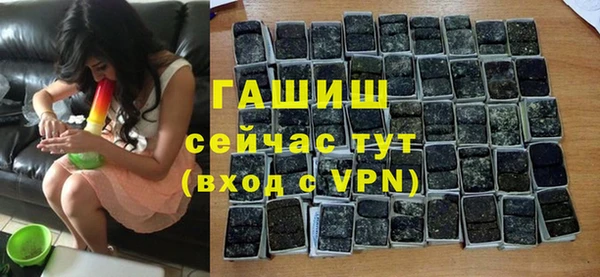 гидра Абаза