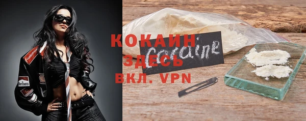 гидра Абаза