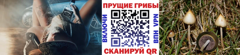 Галлюциногенные грибы ЛСД купить наркоту Карабаново